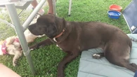 Travolta e uccisa dalla piena, riconosciuta da marito e figlio
