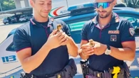 Sei piccoli d'anatra in mezzo alla A6, li salva la polstrada