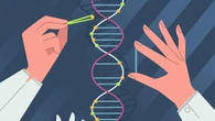 Dall'editing genetico la prima terapia permanente per perdere peso
