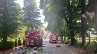 Colpita da un ramo a Cascine Firenze, 23enne in codice rosso