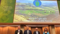 Spighe verdi 2025, le Marche al vertice della classifica
