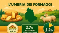 Alla Camera di commercio 'L'Umbria dei Formaggi 2025'