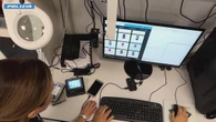 Inchiesta contro la pedopornografia online, due arresti e un indagato