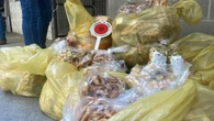 'Guerra delle orecchiette', sequestri a Bari vecchia