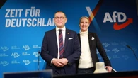 Media, Afd fa ricorso contro i Servizi in Germania