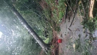 Maltempo, in Fvg vento a 140 all'ora e pioggia torrenziale