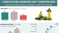 Agroalimentare, l'export lombardo segna un +8,8%
