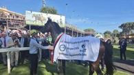 Ippica: festa per 15mila a Capannelle, Molveno vince 142/o Derby