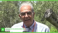 Global South Innovation, sud baricentro di un nuovo sviluppo sostenibile
