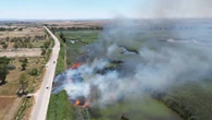 Fiamme in oasi protetta nel Foggiano,rogo partito da canneto