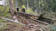 Boscaiolo muore in incidente su lavoro travolto da un tronco