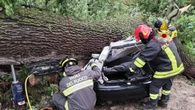 A Milano Marittima pini sulle auto, zone irraggiungibili