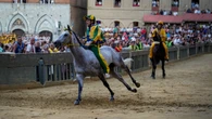 Palio di Siena, contrada del Bruco vince anche prova generale