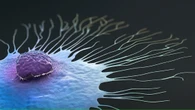 Terapia Car-T, primi risultati positivi contro i tumori più difficili
