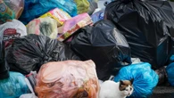 Plastic Free, tolleranza zero per chi getta rifiuti da auto