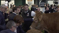 Macron al Salone dell'Agricoltura saluta anche la mucca Oupette, la mascotte