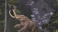 Famiglie e migrazioni ricostruite dal Dna antico dei mastodonti