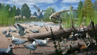 Gli uccelli nidificavano nell’Artico già all’epoca dei dinosauri