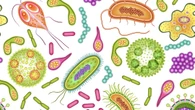 Al via studio italiano sul legame tra endometriosi e microbiota