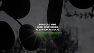 Non solo vino, i dazi colpiscono al 15% anche l'olio