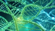 Correggere gli errori del Dna apre a nuovi farmaci