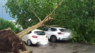 Maltempo: a Verona 15 minuti di tempesta, vento a 100 kmh
