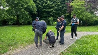I resti trovati a Parma quasi sicuramente non sono umani