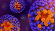 Anticorpi anti-influenza adesivi, in uno spray nasale