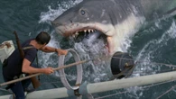 Lo Squalo di Spielberg, i 50 anni del primo blockbuster