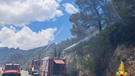 Brucia la macchia mediterranea nel Barese, Canadair in arrivo