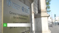 Report FAO Mediterraneo, "sostenibile solo il 35% degli stock ittici"