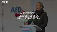 Alice Weidel, leader tedesca dell'ultradestra