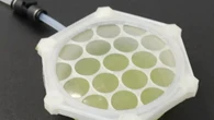 Bioplastiche ottenute dalle alghe per habitat extraterrestri