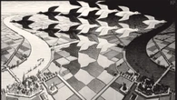 Escher ad Asti, oltre 62.000 i visitatori della mostra