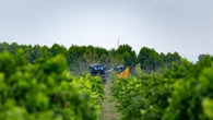 In Umbria più produzione vino ma 'scivolone' per prezzi uve