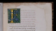Gallerie Estensi di Modena celebrano Petrarca con una mostra