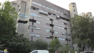 Roma, a Ferragosto si rinnova l'appuntamento al "palo della morte" nei 45 anni di 'Un sacco bello'