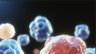 Il tumore del colon-retto reso visibile al sistema immunitario