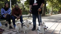 L'Iran estende il divieto di portare a spasso i cani
