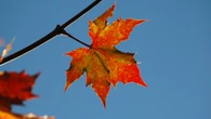 Addio estate, domani l'equinozio d'autunno