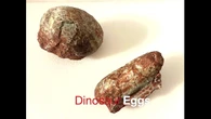 Ricostruzione 3D di un uovo di dinosauro (fonte: Andrea Barucci CNR-IFAC)