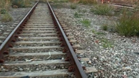 Frecciarossa investe gregge pecore nel Foggiano, disagi
