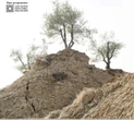 Romagna sfigurata dall'alluvione, prorogata mostra Camporesi