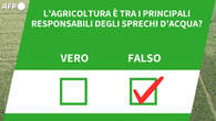 Ansa VERIFIED - L'agricoltura e' tra i principali responsabili degli sprechi d'acqua?