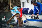 Pesca, ecologia e turismo sostenibile, l'esempio di Ischia