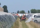 Cani e strumenti indicano punti Si scava per cercare Saman