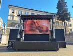 Pro Vita, proiezione in piazza del Popolo di Baby Olivia
