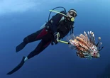 È vero che le nuove specie di pesci sempre più presenti nei nostri mari sono una spia importante del cambiamento climatico?