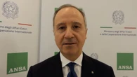 Varricchio, la firma di Pax Silica con gli Usa in Italia nelle prossime settimane