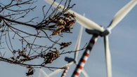 Raid in cantiere eolico, '50 incappucciati con coltelli'
